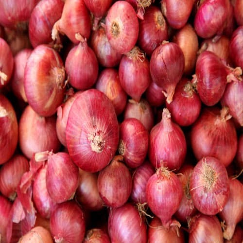 Onion 5 Impressive Health Benefits