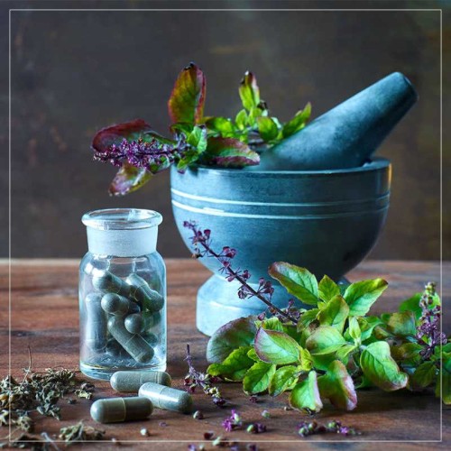 The Rise of Ayurvedic Products: Exploring the Global Demand