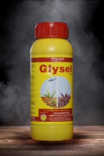 Everything you should know about giysel