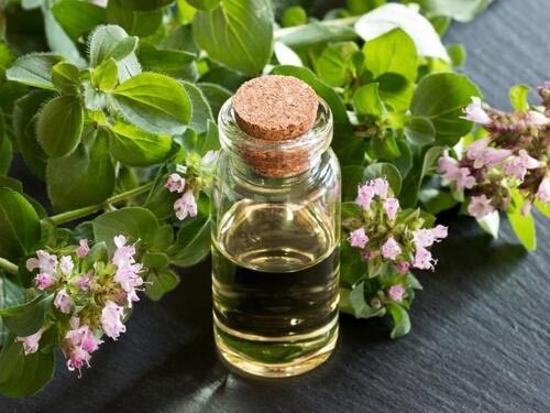 What Is Lavender Oil And Aromatic Oil