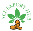 ACE Exports Hub Logo