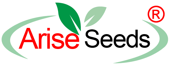 Arise Seeds Private Limited Logo