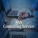 SAS Consulting Services