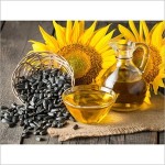 Sunflower Extract