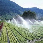 Agri Irrigation Systems