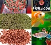 Aquarium Fish Food