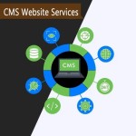 Cms Web Development service
