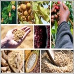 Agro Based Commodities
