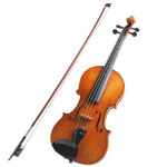 Violin String