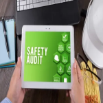 Safety Audit Service