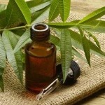 Ayurvedic Herbal Oils
