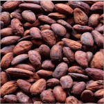 Cocoa Bean Shells
