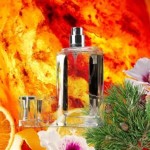 Aromatic Fragrance
