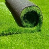 Artificial Lawn Grass