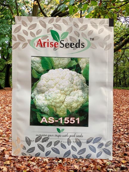 Cauli Flower Seed Exporter in congo free state