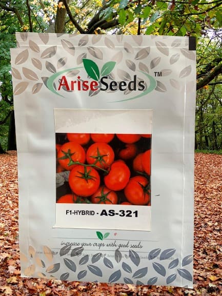 F1 Hybrid AS-321 Tomato Seeds Supplier in raipur
