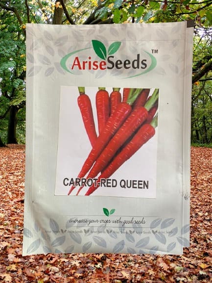 Carrot - Red Queen Carrot Seeds Supplier in dehradun