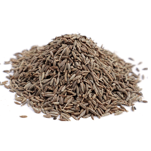 Cumin Seed