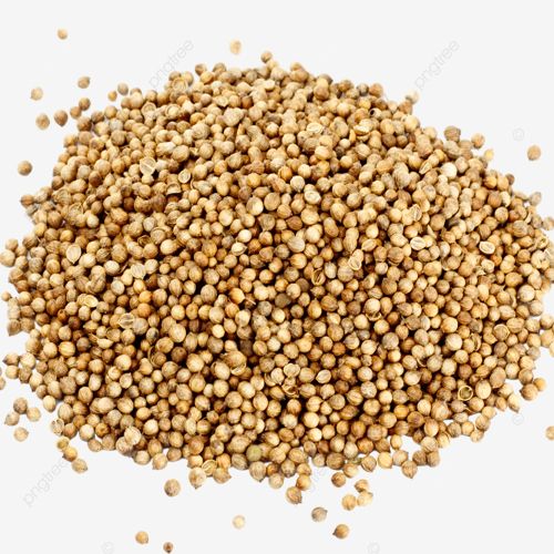 Coriander Seed