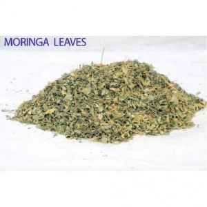 Moringa Leaves