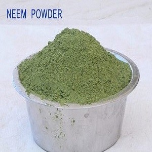 Neem Powder