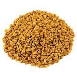 Fenugreek