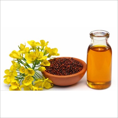 Mustard Oil Seed