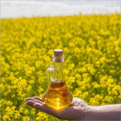 Yellow Wood Pressed Mustard Oil