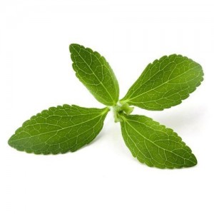 Stevia Leaves