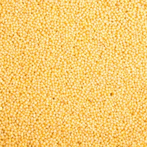 Yellow Mustard Seeds