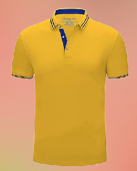 Polo T-Shirt