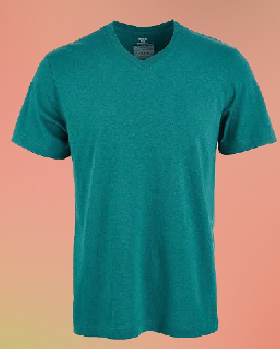 V Neck T-Shirt