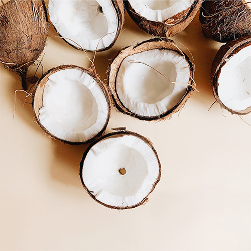 Coconut