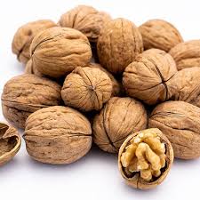 Walnut