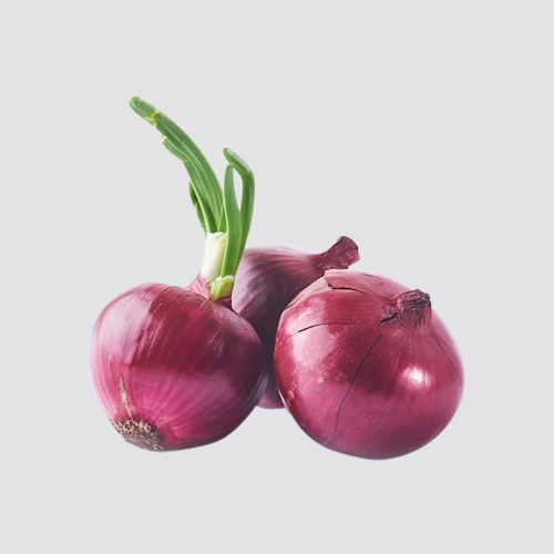 Onion