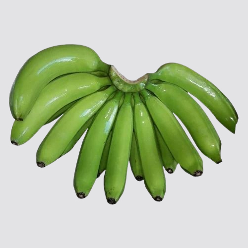 G9 Cavendish Banana