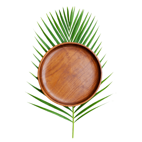 Areca Palm Products