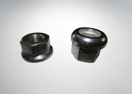 Flange Nuts