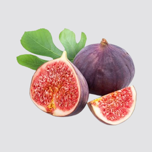 Fig