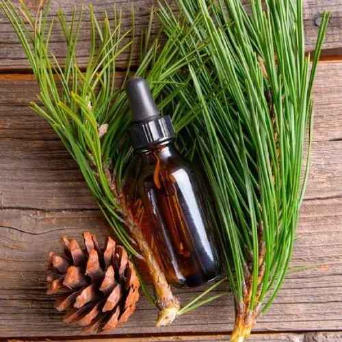 Pine Oil