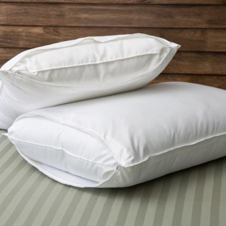 Terry Pillow Protector (Water Proof)