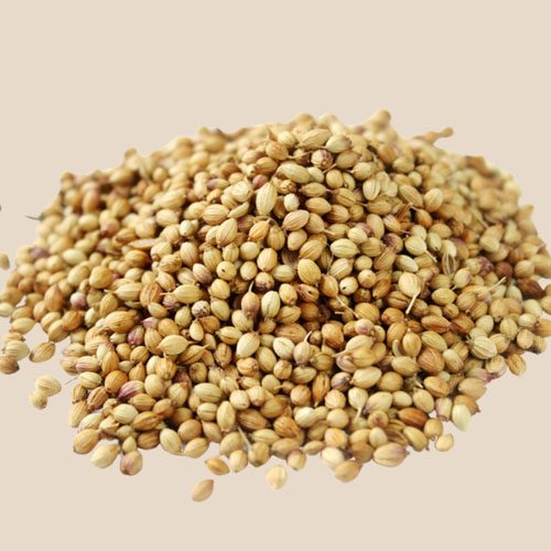 Coriander Seed