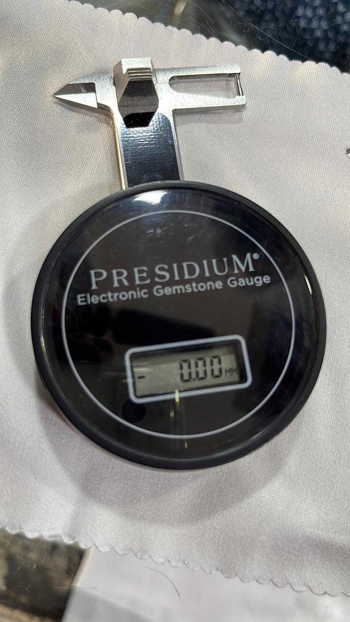 Presidium Digital Gauge