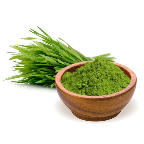 Wheat Grass Powder