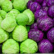 Cabbage