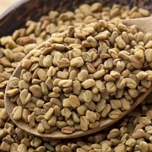 Fenugreek Seeds