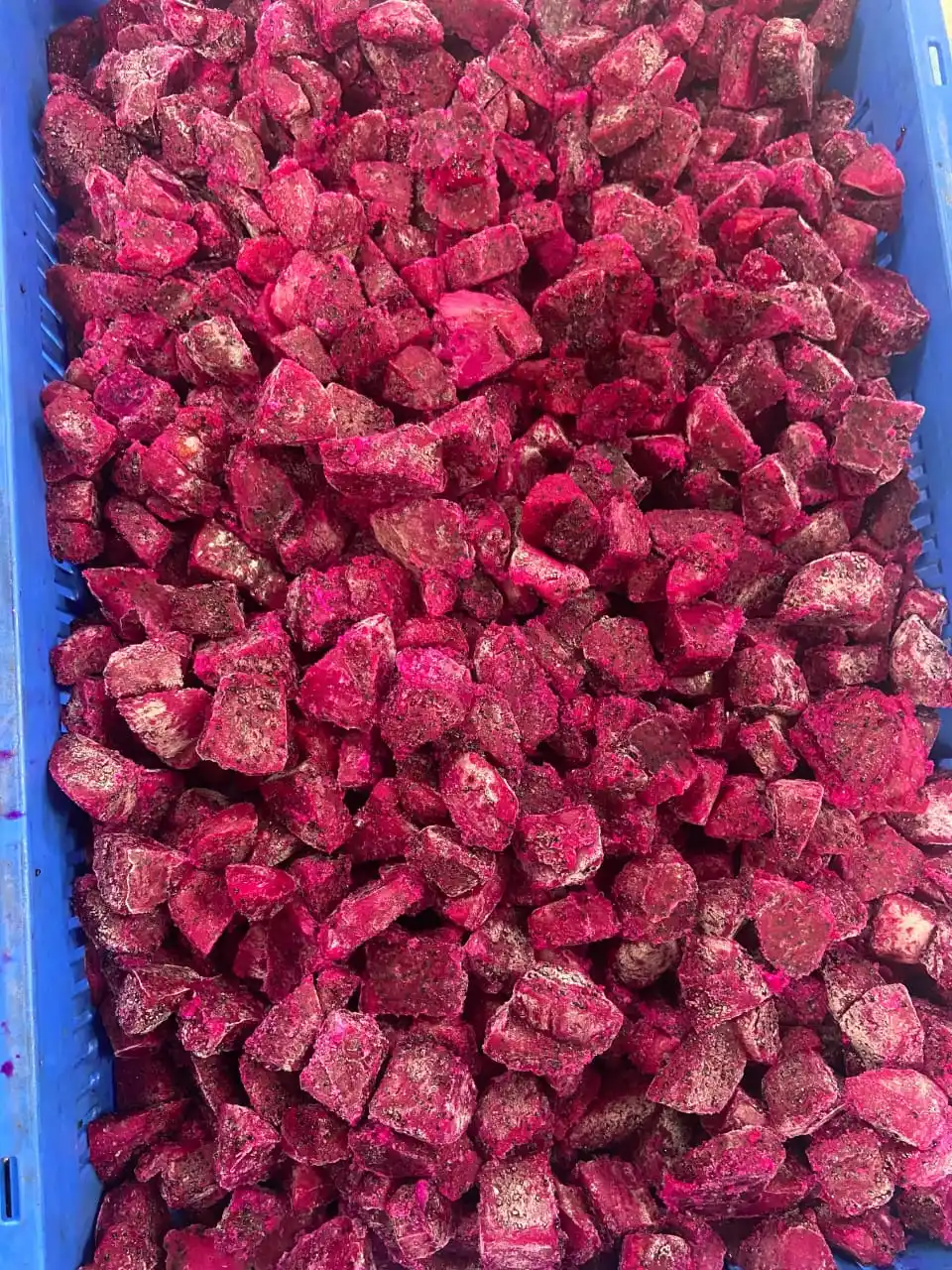 Dragon Fruit Slices