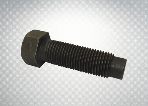 Special Purpose Bolts
