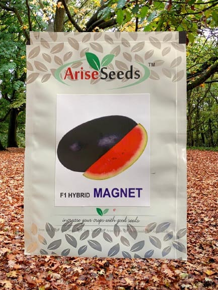 F1 Hybrid Magnet Watermelon Seed Supplier in bengaluru