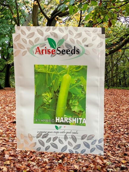 F1 Hybrid Harshita Bottle Gourd Seeds Supplier in Jaipur
